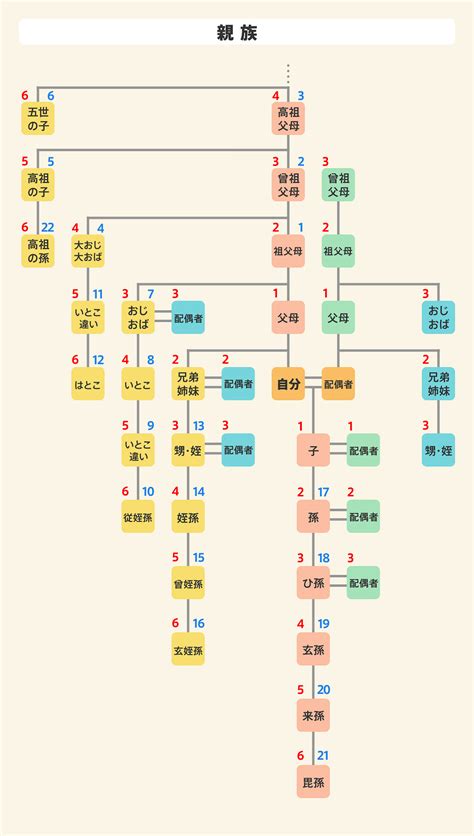 六等親懷孕